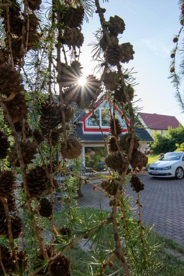 Ferienhaus Goermer Mit Wasserbett Schmolln  Exterior photo